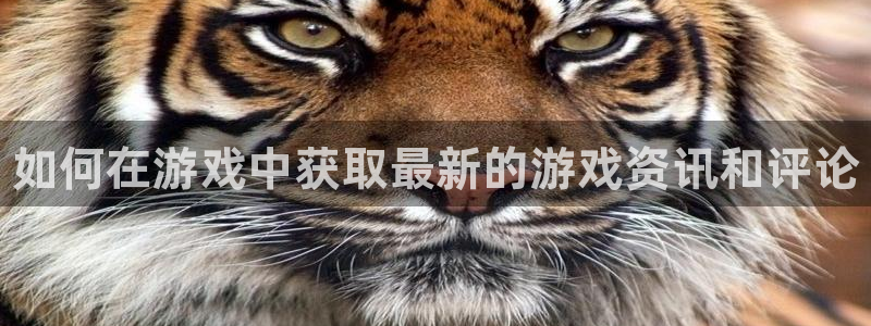 杜邦娱乐官方平台：如何在游戏中获取最新的游戏资讯和评论