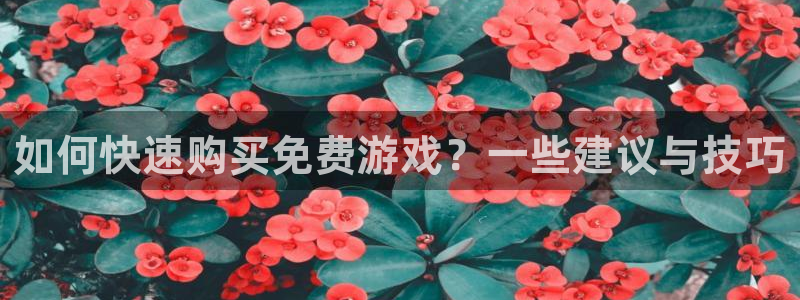 杜邦娱乐线路测试：如何快速购买免费游戏？一些建议与技巧