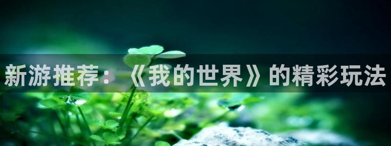杜邦娱乐登录地址：新游推荐：《我的世界》的精彩玩法