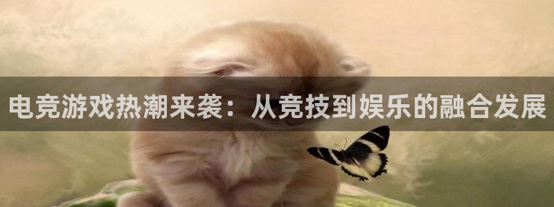 杜邦娱乐游戏：电竞游戏热潮来袭：从竞技到娱乐的融合发展