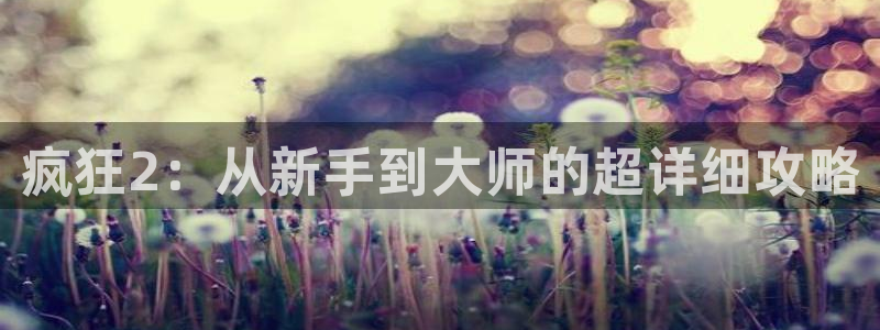 杜邦娱乐下载链接：疯狂2：从新手到大师的超详细攻略