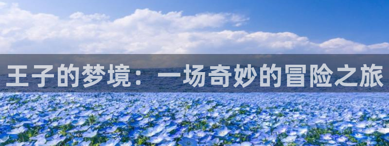 杜邦娱乐登陆测速：王子的梦境：一场奇妙的冒险之旅