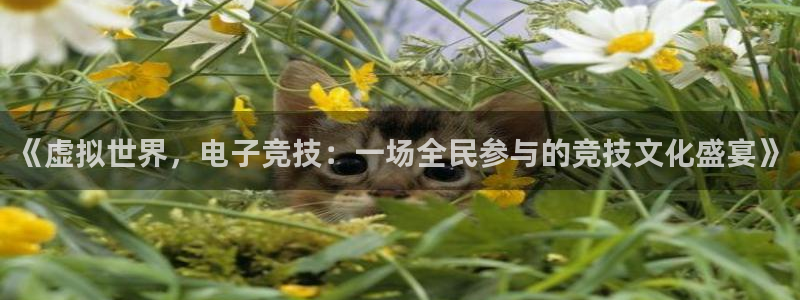 杜邦娱乐平台官网入口：《虚拟世界，电子竞技：一场全民参与的竞