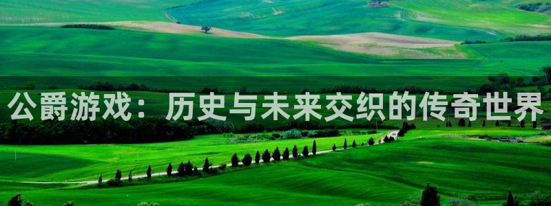 手机版杜邦娱乐客户端下载：公爵游戏：历史与未来交织的传奇世界