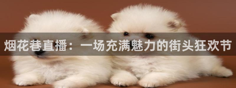 玩球直播下载ios：烟花巷直播：一场充满魅力的街头狂欢节