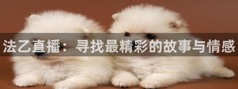 玩球直播app最新版本下载：法乙直播：寻找最精彩的故事与情感