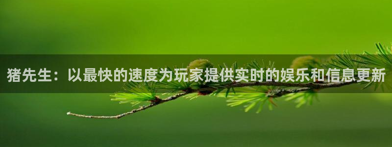 杜邦娱乐佳官网入口入口