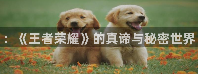 杜邦娱乐手机APP支付密码是不是取款密码
