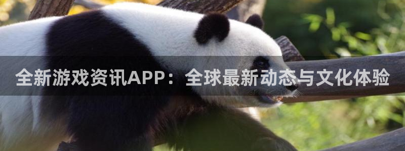 杜邦娱乐嘉675.138的详细介绍