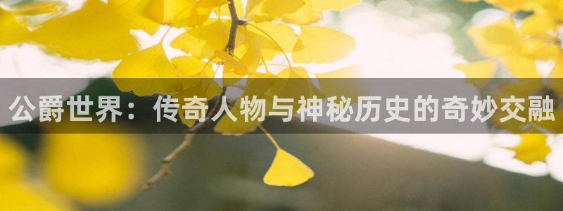 杜邦娱乐手机APP支付密码是不是取款密码：公爵世界：传奇人物