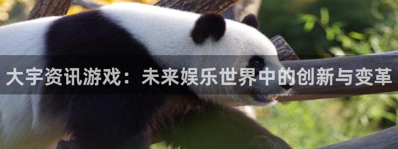 杜邦娱乐十675.138线路g登录入口登录：大宇资讯游戏：未