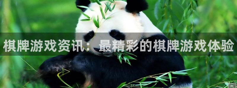 杜邦娱乐嘉675.138的更新方法与理念：棋牌游戏资讯：最精