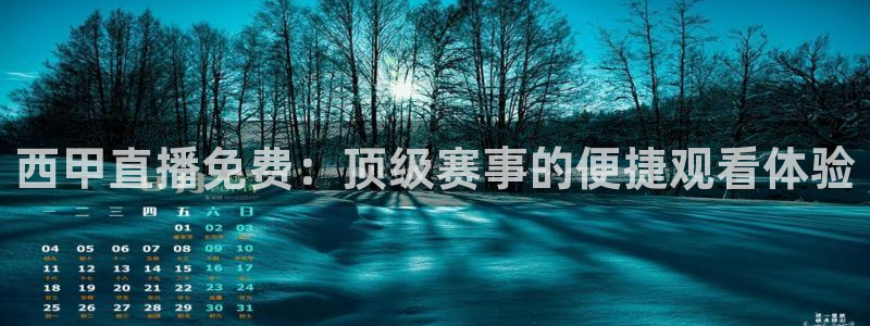 宝宝玩球视频：西甲直播免费：顶级赛事的便捷观看体验